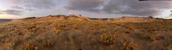 Pondalowie Bay: South Australia