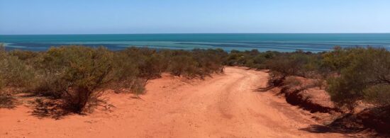 The Westernmost Part of Australia: Shark Bay